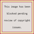 Copyright Review Block.png
