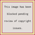 Copyright Review Block.svg